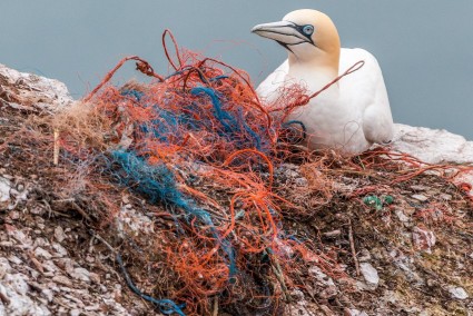 Why is it important to reduce plastic waste?