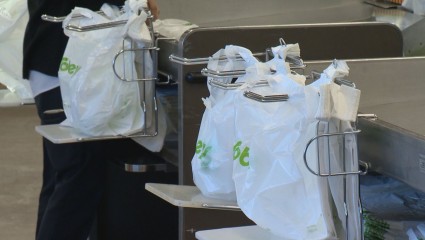 Is There an Alternative to Single-Use Plastic Bags?