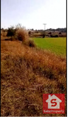  Plot/Land