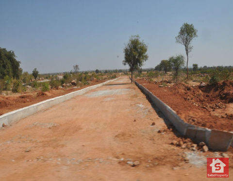  Plot/Land